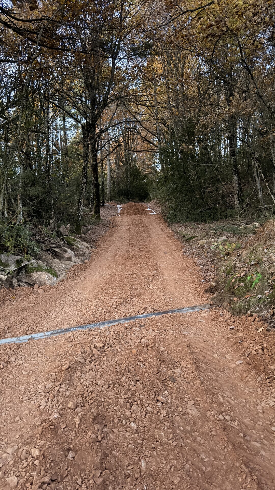 Chemin d’accès forestier